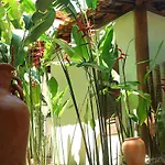 Cottage Bangalo & Suites